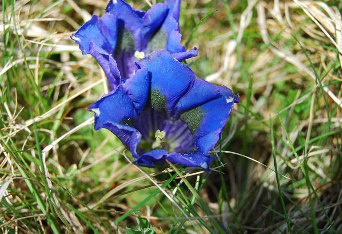 Bild 14