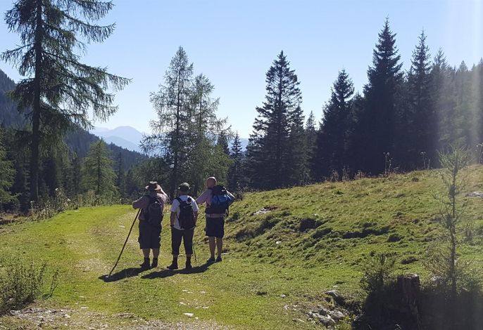 Bild 10