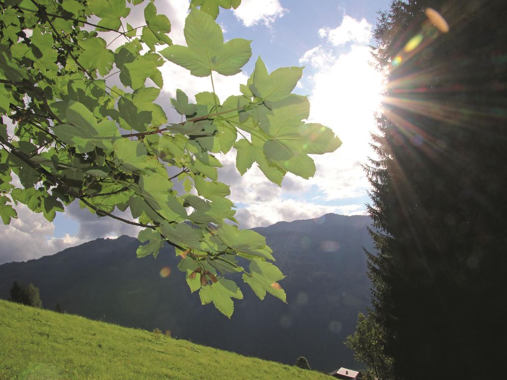 Hotel Alpina Kleinarl