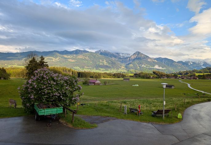Bild 7