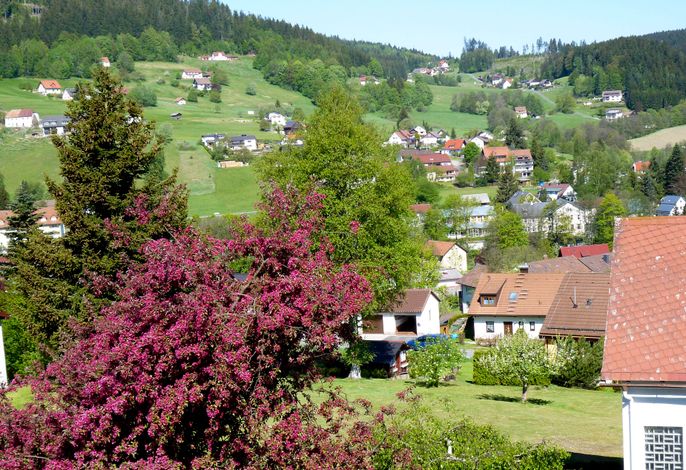 Bild 10