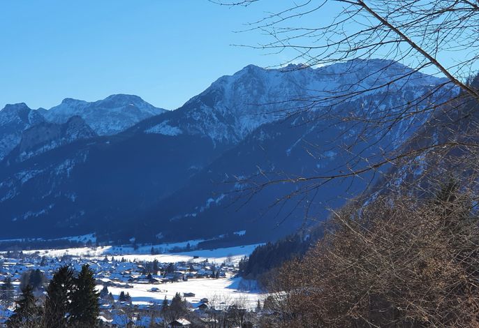 Bild 12