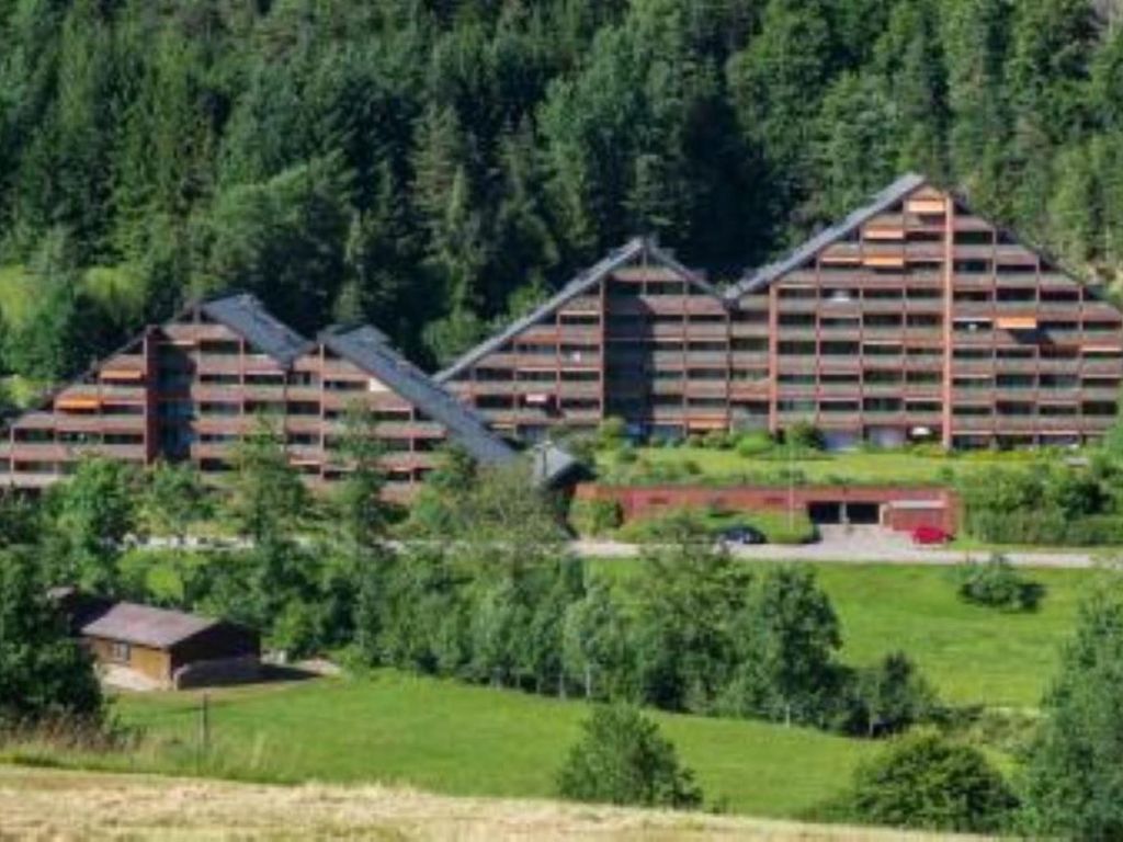 Black Forest Experience