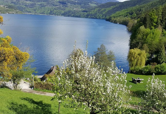 Bild 14