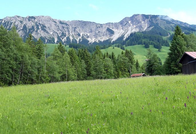 Bild 23