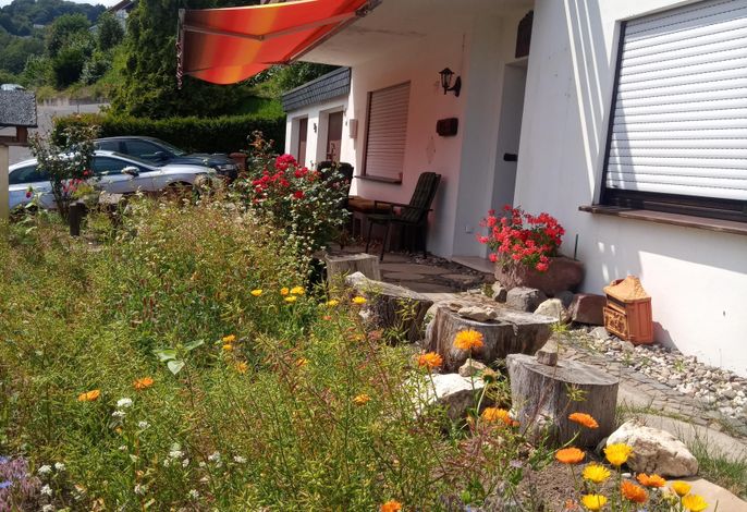 Bild 5