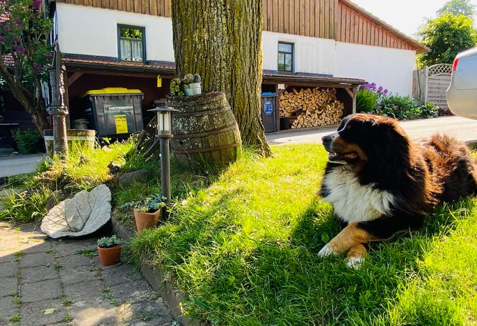 Bild 5