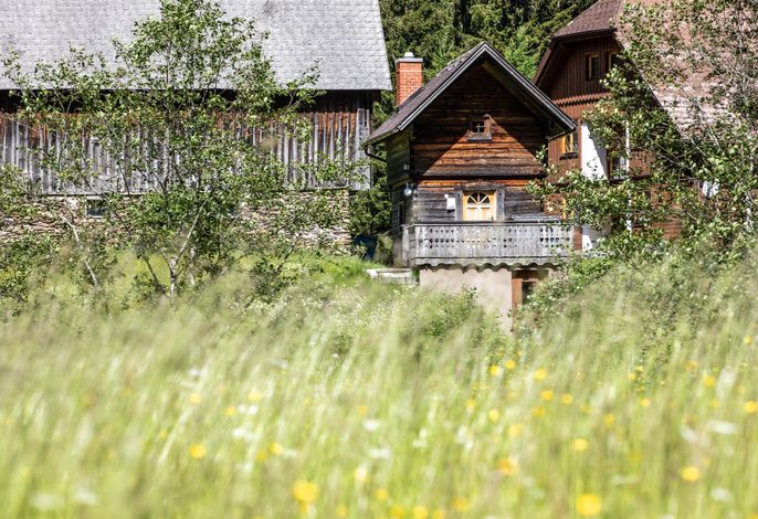 Bild 17