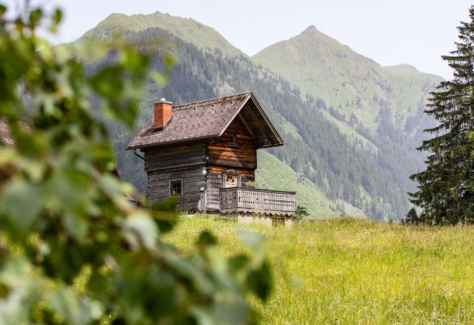 Bild 19