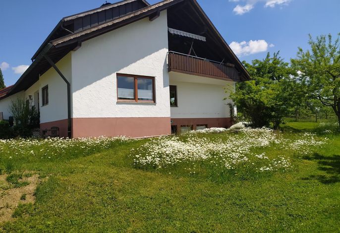 Bild 13