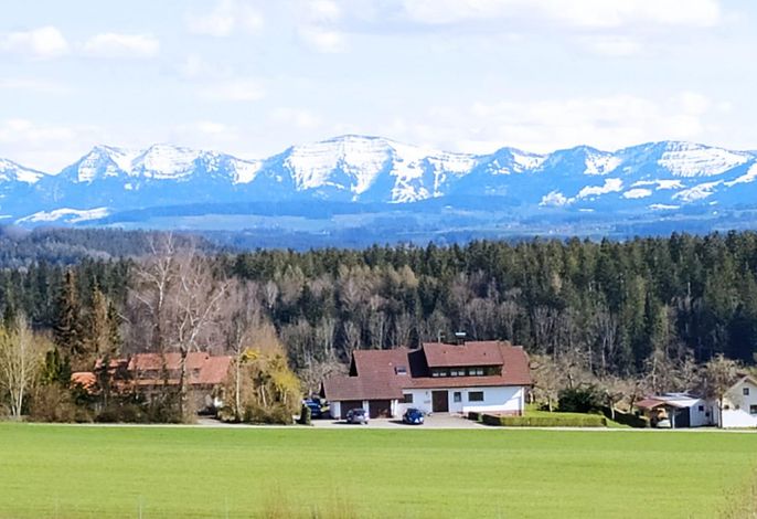 Bild 12