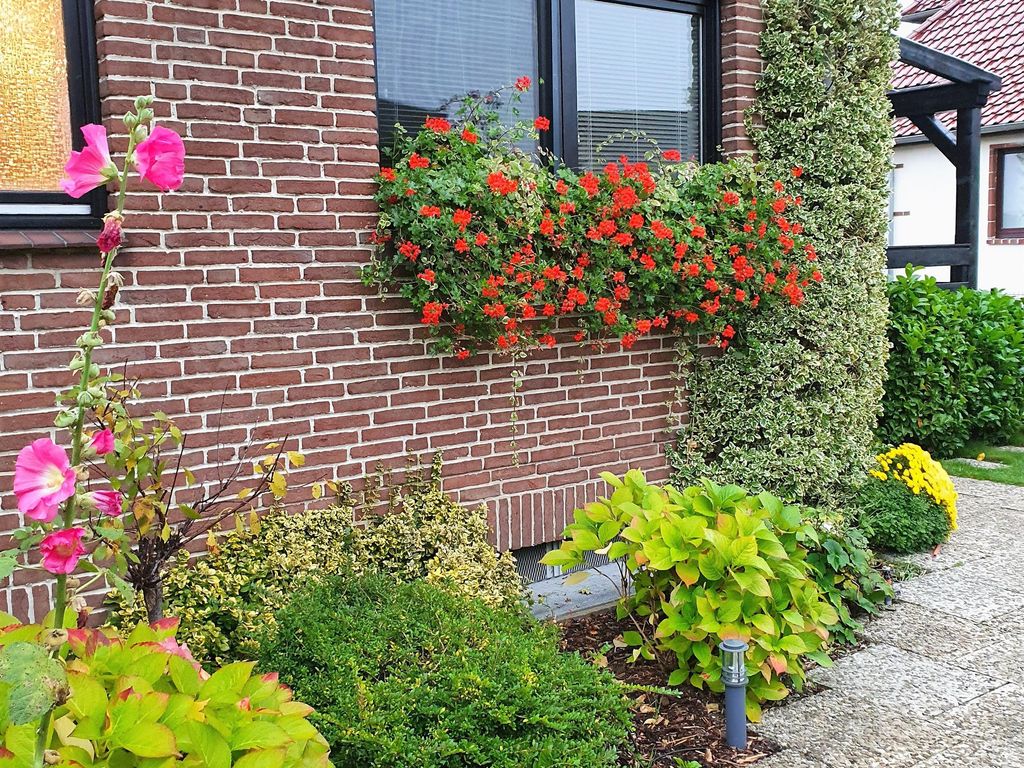 Gästewohnung im Papenteich