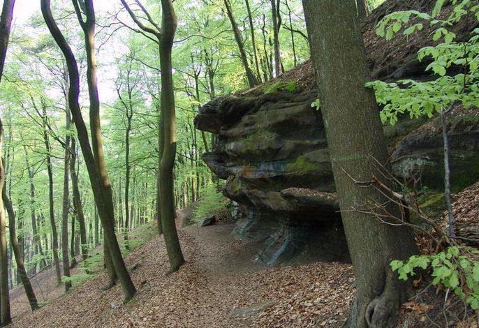 Bild 11