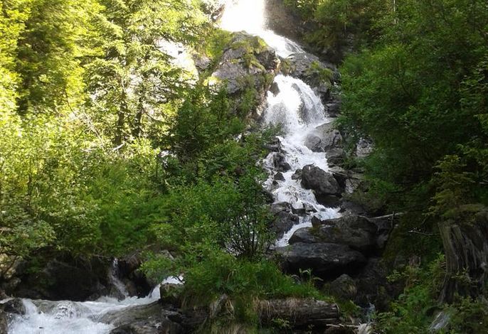 Bild 18