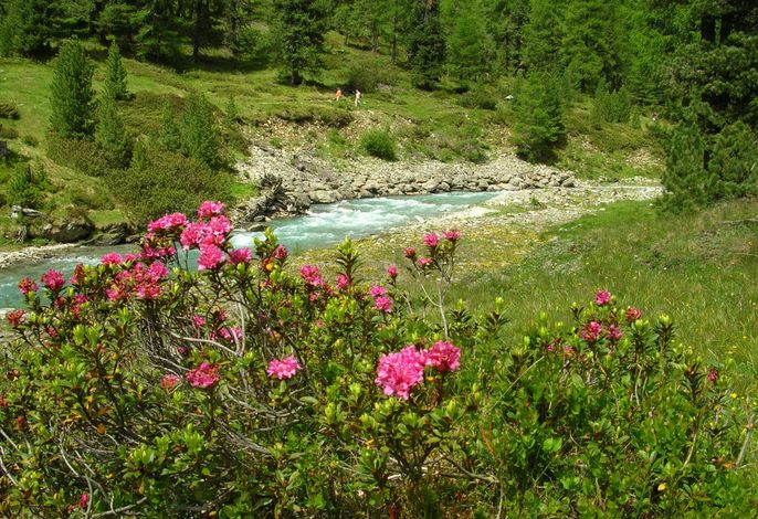 Bild 17