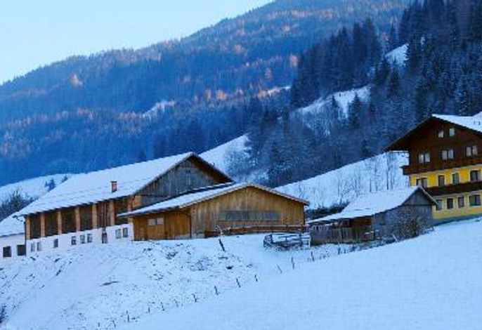 Bild 12