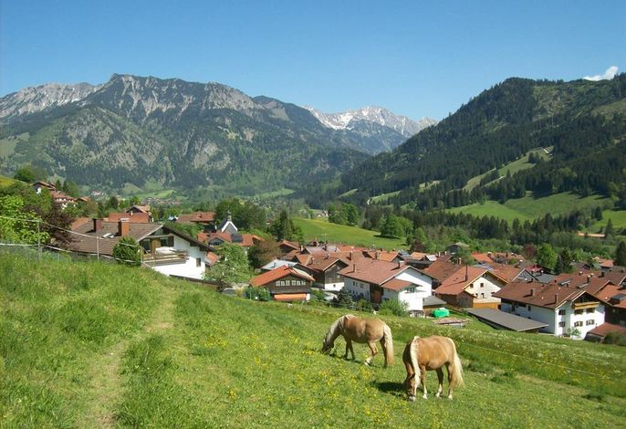 Bild 10