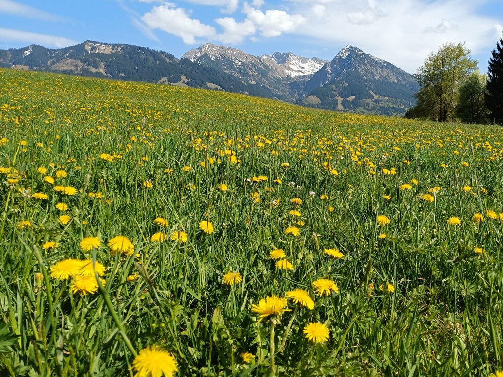 Ferienwohnungen Naturgefühl