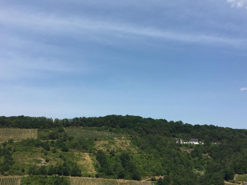 Ferienwohnungen Panoramablick