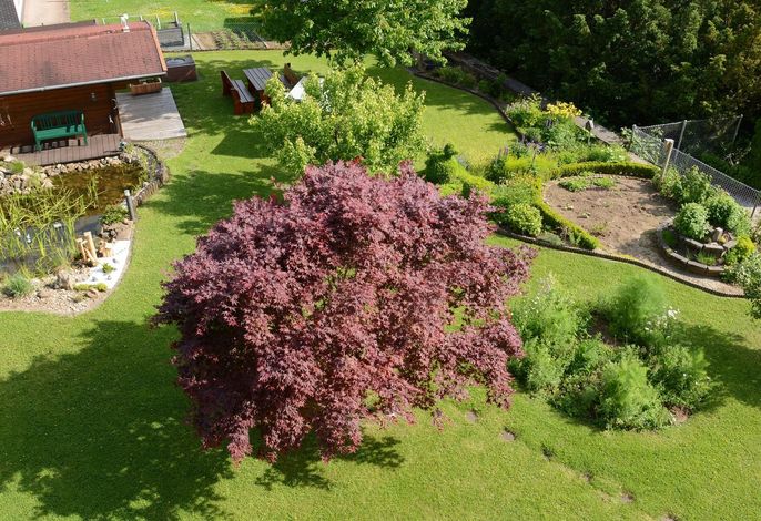 Bild 19
