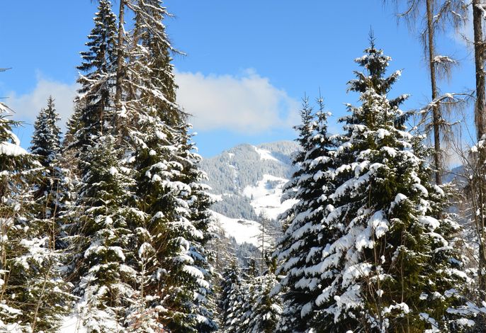 Bild 15
