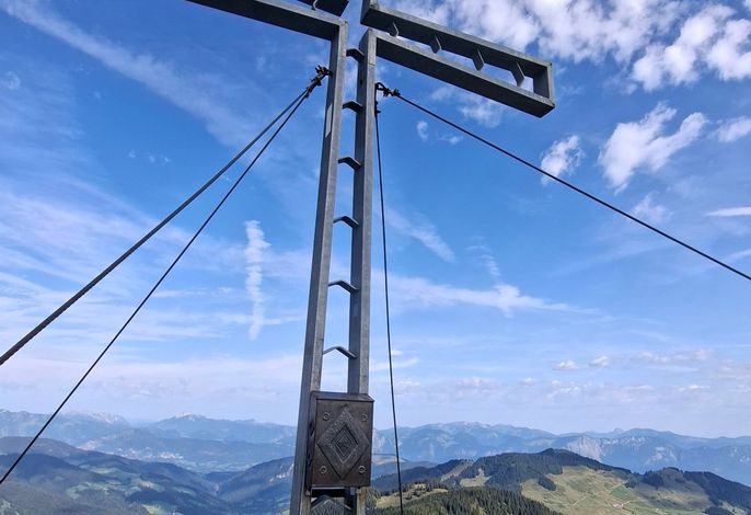 Bild 64