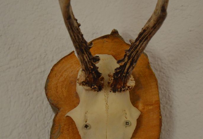 Bild 34