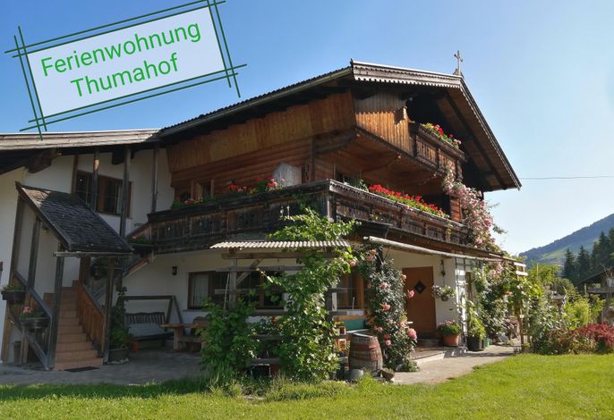 Bild 51