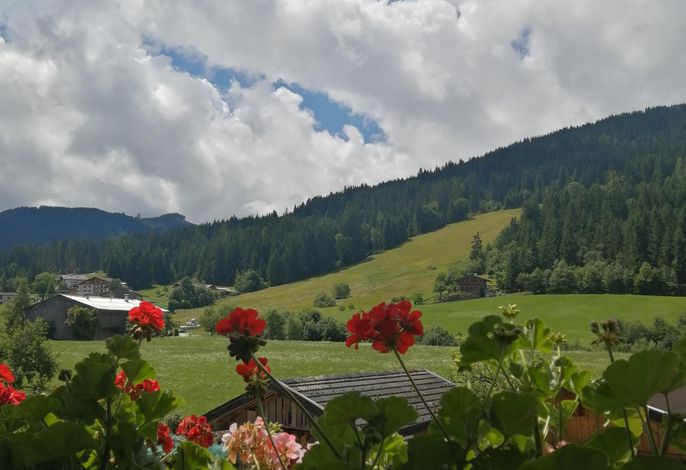 Bild 56