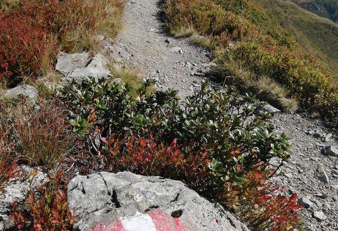 Bild 46