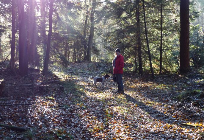 Bild 17