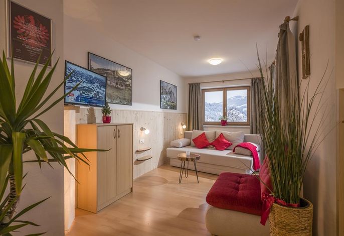Appartement Hornblick | 2-4 Personen