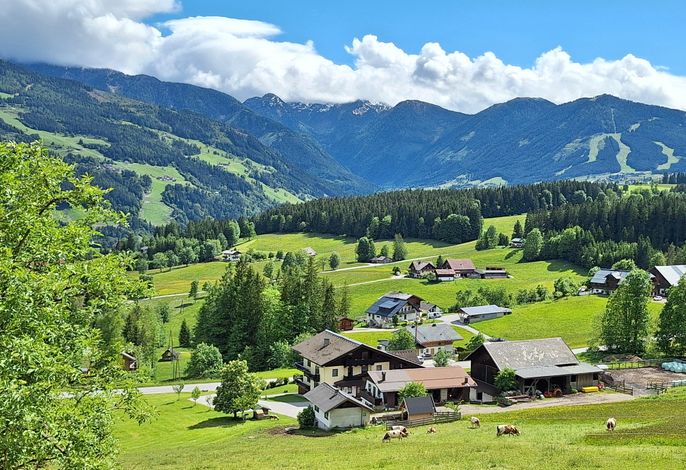Bild 12
