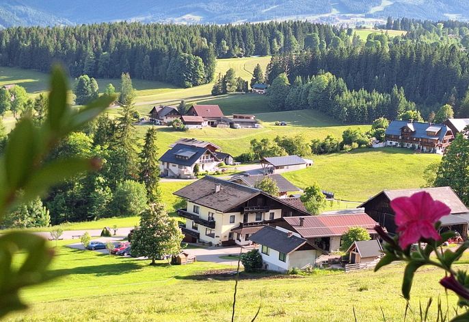 Bild 11