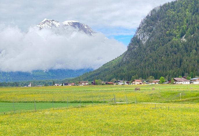Bild 10