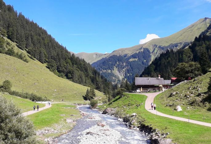 Bild 5