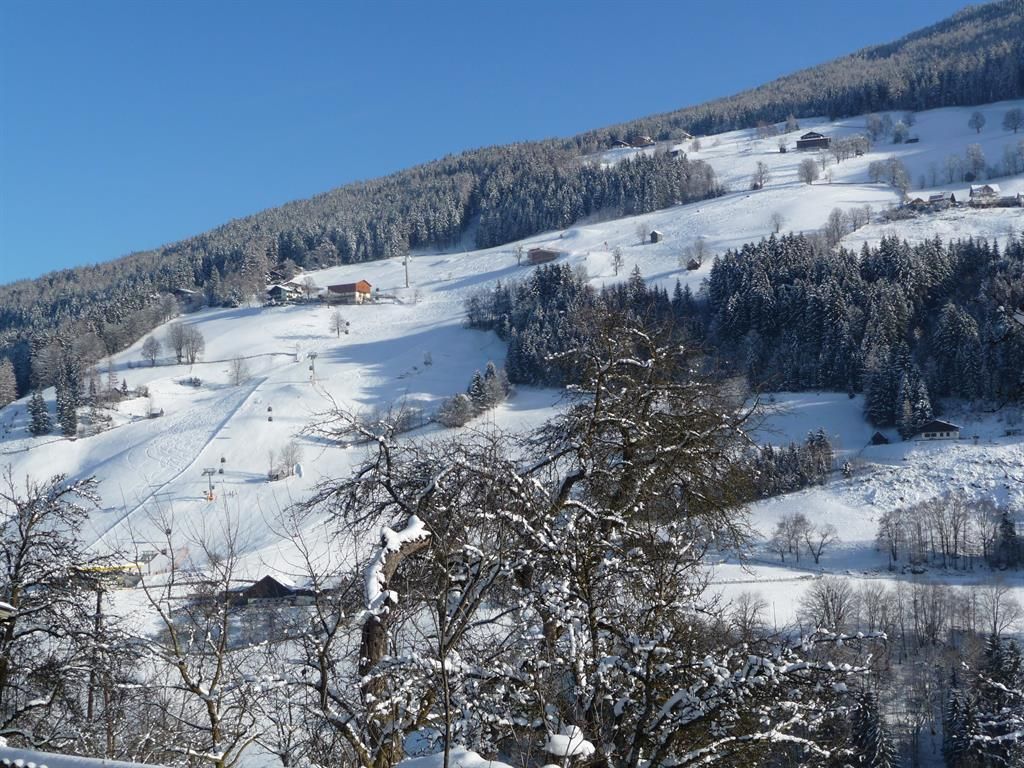 Steinwenderhof