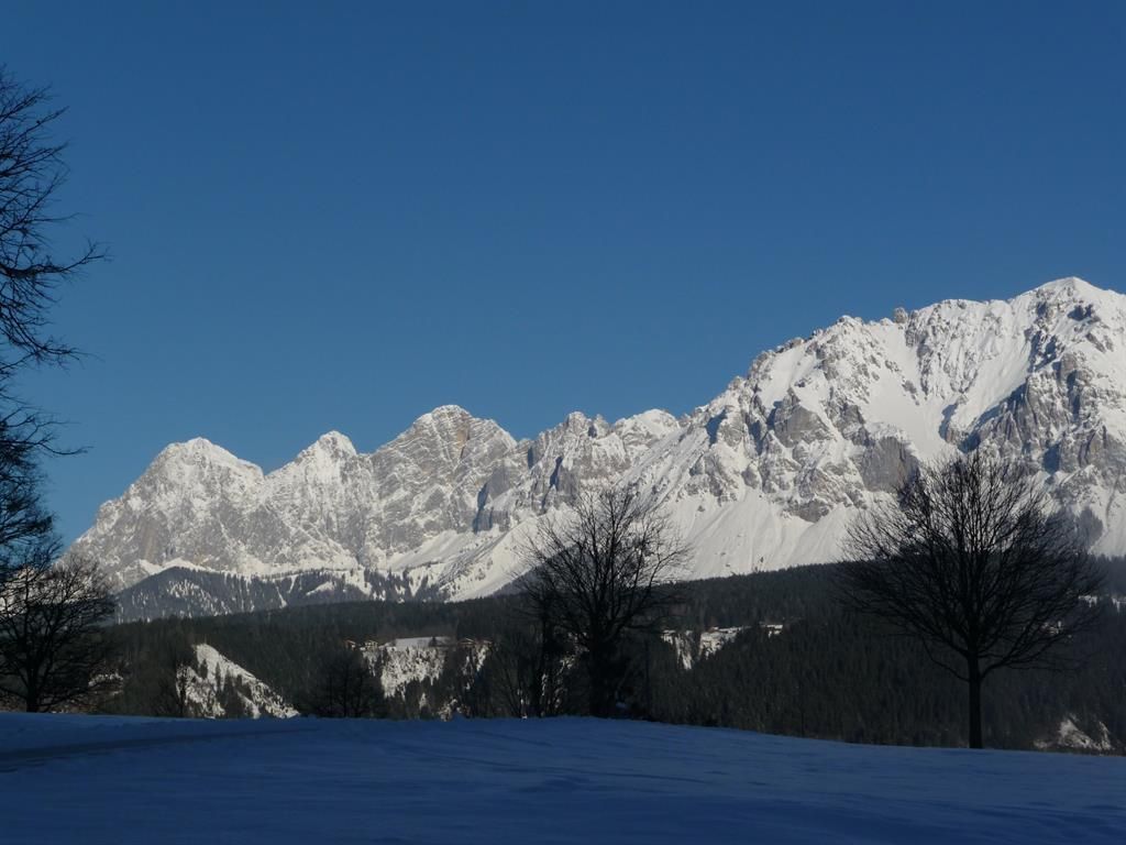 Steinwenderhof