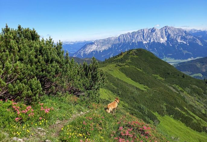 Bild 29