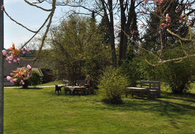 Bild 15