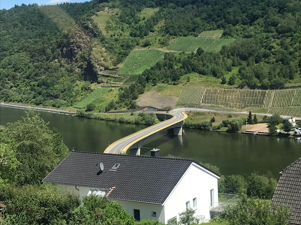 Moselblick am Waldrand