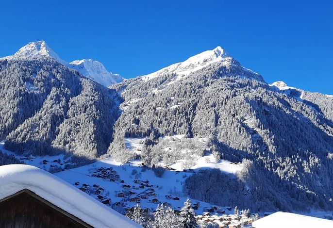 Bild 19