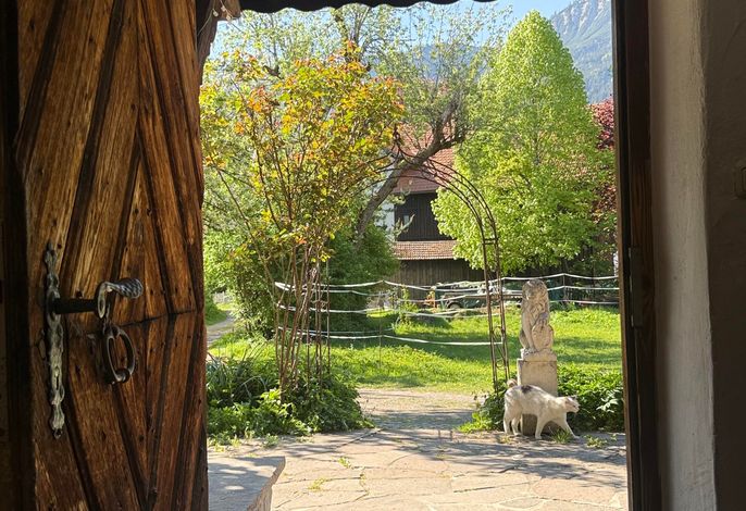 Bild 19