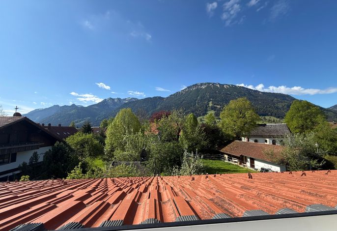 Bild 16