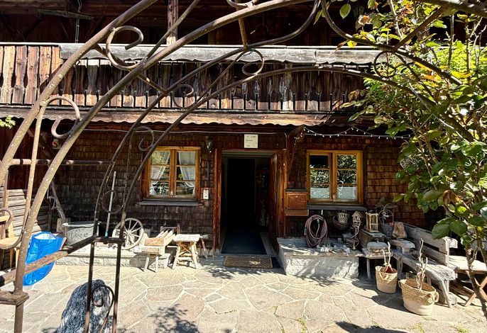 Bild 11