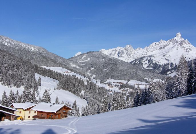 Bild 12