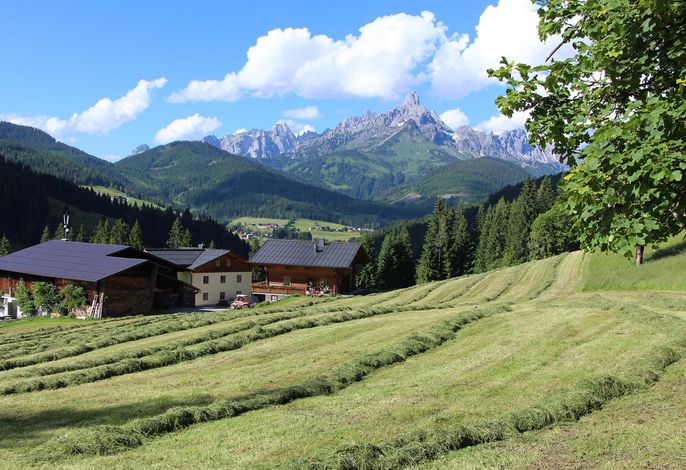 Bild 11