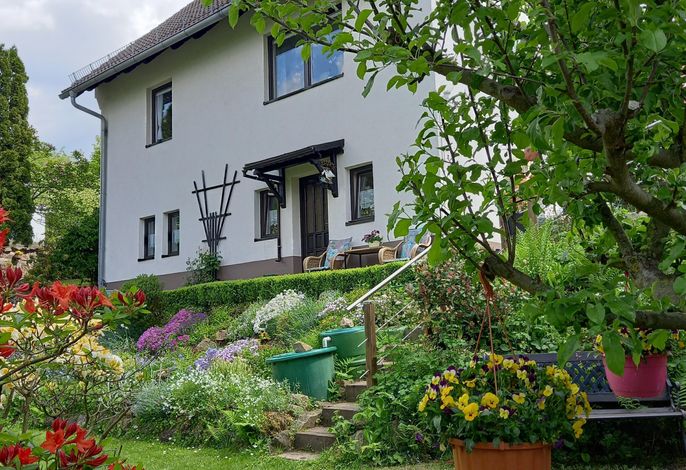 Bild 9