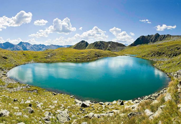 Bild 15