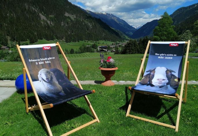 Bild 17